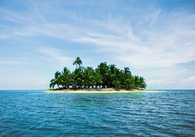 palmový ostrov